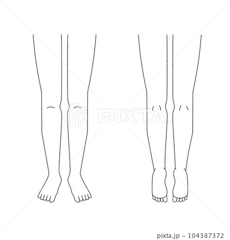 カルテ用左右の脚のイラスト｜表裏｜太ももからつま先まで 104387372