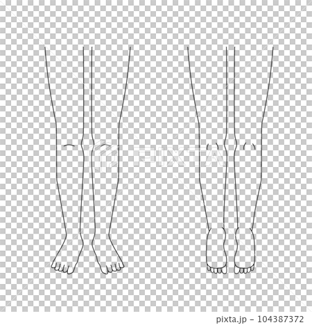 カルテ用左右の脚のイラスト｜表裏｜太ももからつま先まで 104387372