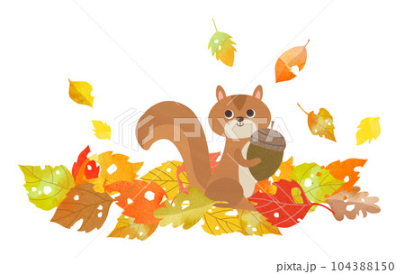 リスと落ち葉 リスと落ち葉 104388150