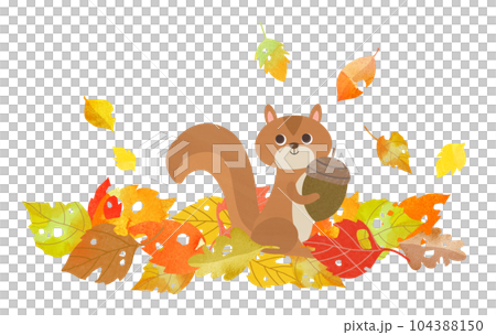 リスと落ち葉 リスと落ち葉 104388150