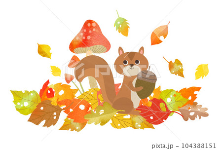 リスと落ち葉 104388151
