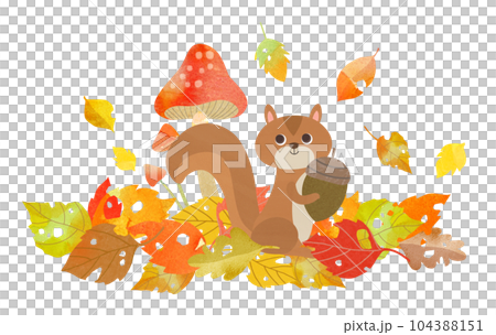 リスと落ち葉 104388151