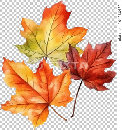 autumn, harvest, watercolor, illustration, nature, yellow, fall, october, holiday, season, decoration, thanksgiving, pumpkin, leaf, isolated, orange, art, design, plant, background, garden 104388472