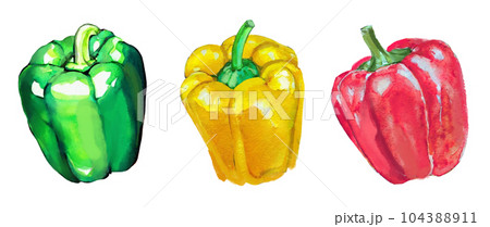 3色のピーマン・パプリカのイラストセット 104388911