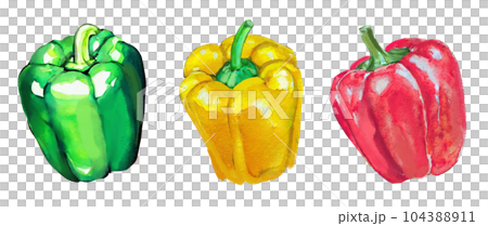 3色のピーマン・パプリカのイラストセット 104388911