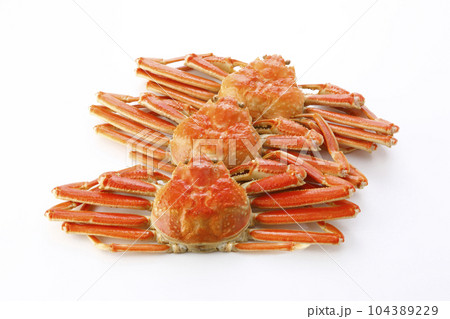 3杯のボイルズワイガニ 白背景 3杯のボイルズワイガニ 白背景 104389229