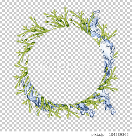 Frame of green sea plants and water splash watercolor illustration isolated on white. Ascophyllum, kelp, herb seaweed hand drawn. Design for package, label, advertising, invitation, marine collection Frame of green sea plants and water splash watercolor illustration isolated on white. Ascophyllum, kelp, herb seaweed hand drawn. Design for package, label, advertising, invitation, marine collection 104389363
