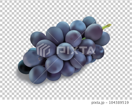 Kyoho grape with shadow 104389519
