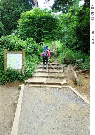 一丁平→紅葉台分岐（高尾山～陣馬山コース）（東京都八王子市） 104389687