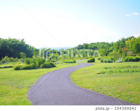 北海道の絶景 十勝ヒルズの風景 104389842