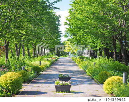 北海道の絶景 十勝ヒルズの風景 北海道の絶景 十勝ヒルズの風景 104389941