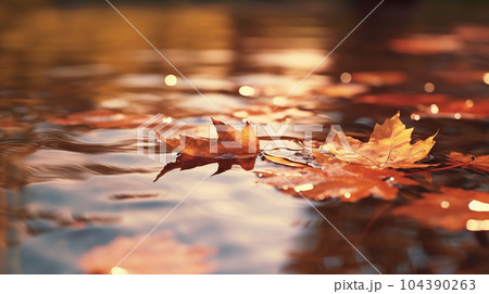 水面から見た紅葉：精緻CG