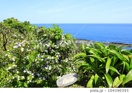 宮崎県　日南海岸国定公園　青い海と鬼の洗濯岩 104390393