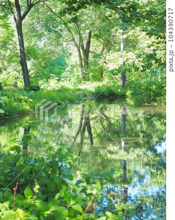 北海道の風景 六花の森 104390717