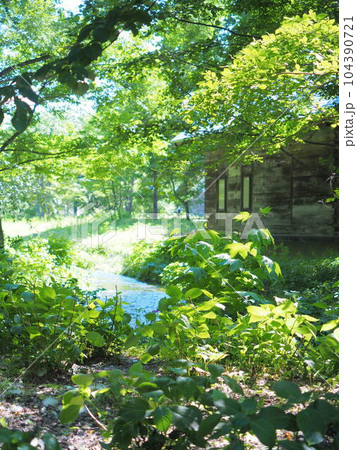 北海道の風景 六花の森 104390721