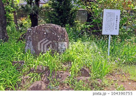 甲斐善光寺（甲府） 104390755