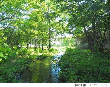 北海道の風景 六花の森 104390779