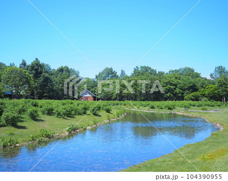 北海道の風景 六花の森 104390955