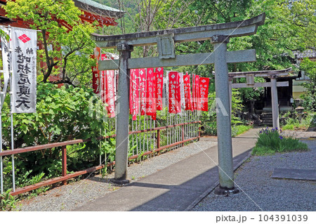 甲斐善光寺（甲府） 104391039