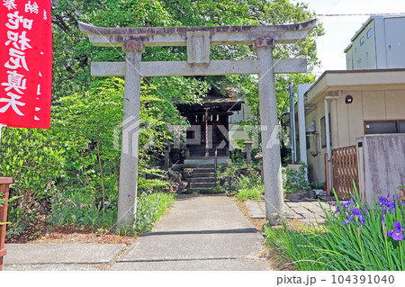 甲斐善光寺(甲府) 甲斐善光寺(甲府) 104391040
