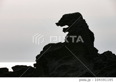 潮瀬崎ゴジラ岩 104391195