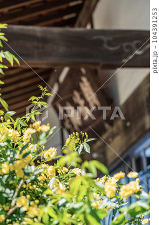 龍潭寺の境内の景色 104391253