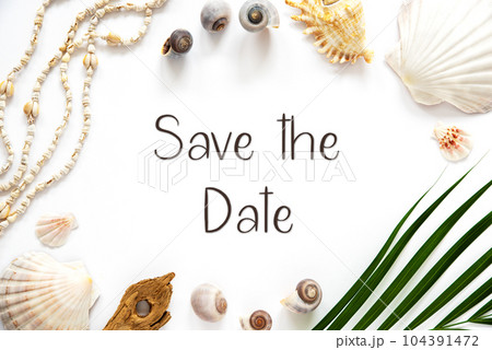 Summer Flat Lay White, Shells and Plants, Summer Background, Text Save The Date Summer Flat Lay White, Shells and Plants, Summer Background, Text Save The Date 104391472
