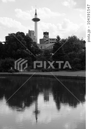 渉成園印月池と京都タワー 白黒写真 渉成園印月池と京都タワー 白黒写真 104391547