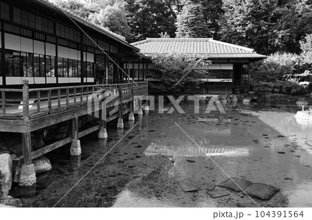 渉成園の臨池亭と滴翠軒　白黒写真 104391564