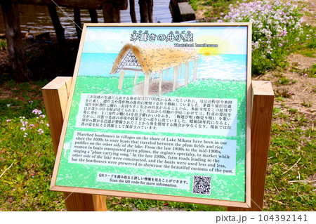 茅葺の船小屋　三方湖　三方湖畔　三方五湖　船子屋　茅葺き屋根　若狭町　福井県　三方上中郡　桜　春景色 104392141