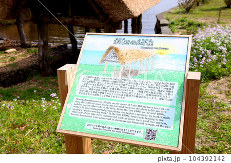 茅葺の船小屋　三方湖　三方湖畔　三方五湖　船子屋　茅葺き屋根　若狭町　福井県　三方上中郡　桜　春景色 104392142