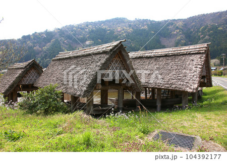 茅葺の船小屋　三方湖　三方湖畔　三方五湖　船子屋　茅葺き屋根　若狭町　福井県　三方上中郡　桜　春景色 104392177