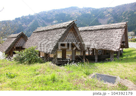 茅葺の船小屋　三方湖　三方湖畔　三方五湖　船子屋　茅葺き屋根　若狭町　福井県　三方上中郡　桜　春景色 104392179