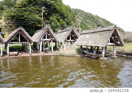 茅葺の船小屋 三方湖 三方湖畔 三方五湖 船子屋 茅葺き屋根 若狭町 福井県 三方上中郡 桜 春景色 茅葺の船小屋 三方湖 三方湖畔 三方五湖 船子屋 茅葺き屋根 若狭町 福井県 三方上中郡 桜 春景色 104392258