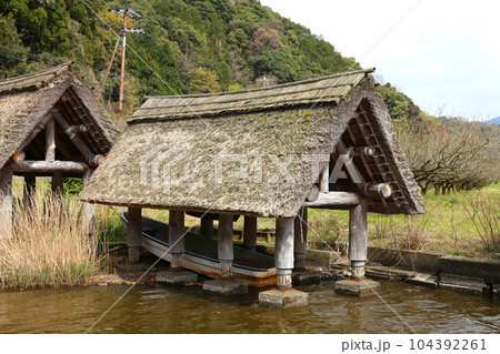 茅葺の船小屋　三方湖　三方湖畔　三方五湖　船子屋　茅葺き屋根　若狭町　福井県　三方上中郡　桜　春景色 104392261