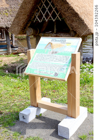 茅葺の船小屋 三方湖 三方湖畔 三方五湖 船子屋 茅葺き屋根 若狭町 福井県 三方上中郡 桜 春景色 茅葺の船小屋 三方湖 三方湖畔 三方五湖 船子屋 茅葺き屋根 若狭町 福井県 三方上中郡 桜 春景色 104392266