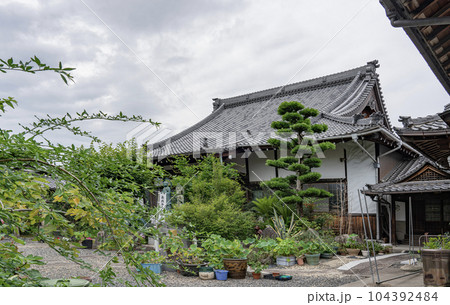 龍箪寺境内の景色 104392484