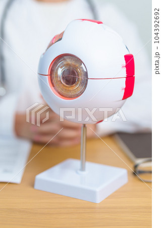 Doctor with human Eye anatomy model with magnifying glass. Eye disease, Refractive Errors, Age Related Macular Degeneration, Cataract, Diabetic Retinopathy, Glaucoma, Amblyopia, Strabismus and Health Doctor with human Eye anatomy model with magnifying glass. Eye disease, Refractive Errors, Age Related Macular Degeneration, Cataract, Diabetic Retinopathy, Glaucoma, Amblyopia, Strabismus and Health 104392692