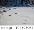 晴天にめぐまれた冬景色の裏磐梯の旅 104393064