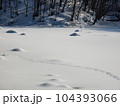 晴天にめぐまれた冬景色の裏磐梯の旅 104393066