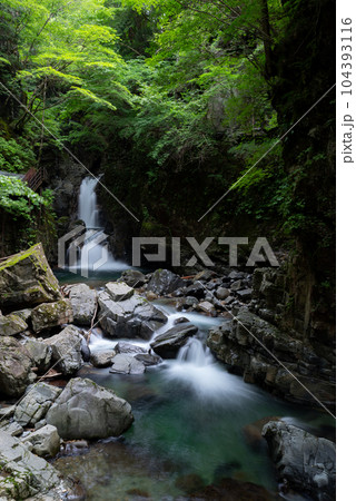 小坂の滝巡り　三ッ滝 104393116