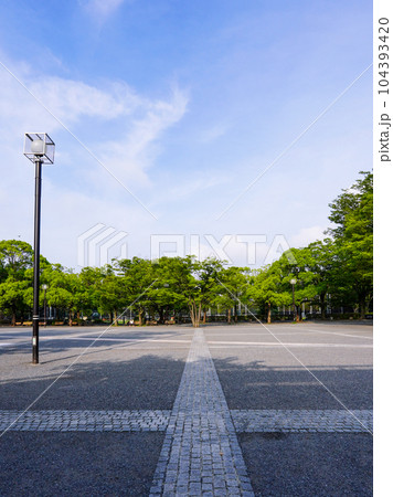 夏の朝、代々木公園イベント広場(東京都渋谷区) 夏の朝、代々木公園イベント広場(東京都渋谷区) 104393420
