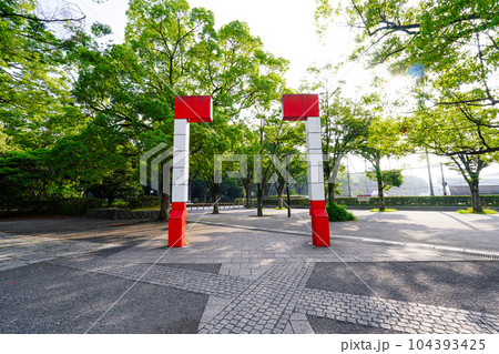 夏の朝、代々木公園イベント広場（東京都渋谷区） 104393425