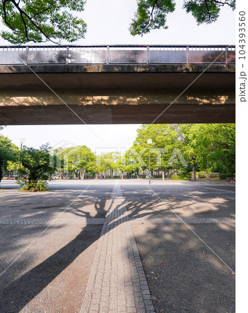 夏の朝、代々木公園イベント広場（東京都渋谷区） 104393560