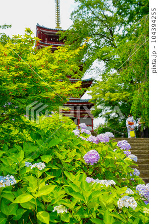（千葉県）本土寺・五重塔　満開の紫陽花 104394255