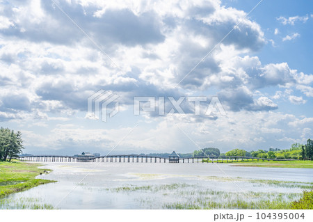 鶴の舞橋　全長300メートル　日本一の木造三連太鼓橋 104395004
