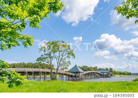 鶴の舞橋 全長300メートル 日本一の木造三連太鼓橋 鶴の舞橋 全長300メートル 日本一の木造三連太鼓橋 104395005