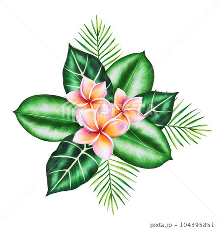 Watercolor realistic tropical bouquet...のイラスト素材 [104395851 ...