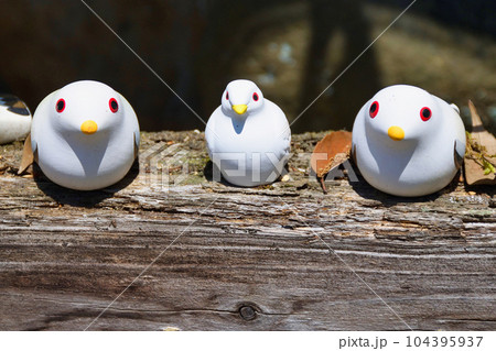 三宅八幡宮の鳩（京都市左京区上高野） 104395937