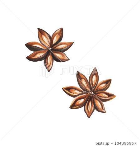 Watercolor anise stars illustration. Nature raw organic spice isolated background. For designers, food decoration, menu, shop, for postcards, wrapping paper, covers. For posters and textile 104395957
